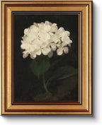 Gold Framed Vintage Wall Art for Living Room, Flowers Painting Canvas Prints Shelf Decor for Kitchen, Aesthetic Bedroom Wall Art, Christmas Gifts for Friends or Family (White Hydrangea 8"x10")